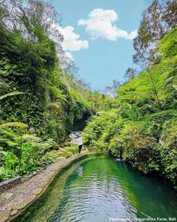 Sangraloka Farm Retreat: สำรวจ สร้างสรรค์ และคืนความอ่อนเยาว์ในบาหลี | อินโดนีเซีย, THB 538.77