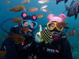 [Advance Reservation Required] Seogwipo Scuba Diving Experience in Jeju Island | South Korea