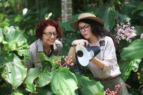 Cairns Botanic Gardens Morning Walk Photography Tour