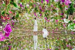 teamLab SuperNature Macao 3D Interactive Exhibition Ticket, USD 36.63