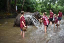 Elephant Discovery Chiang Mai | Thailand, 1.036.090 VND
