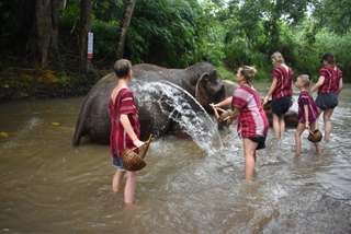 Elephant Discovery Chiang Mai | Thailand, RM 168