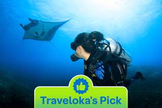 Snorkeling Tour with Mantas and Nusa Lembongan Island, 709.323 VND