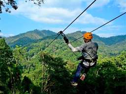 Kingkong Smile Zipline (CM Paradise)