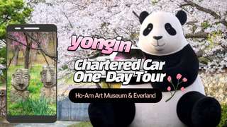 Yongin Private Charter Tour: Ho-Am Art Museum, Everland & Spring Flower Excursion (Seoul Departure)