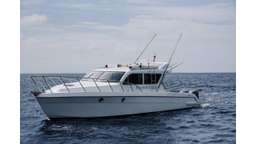 YATCH LUXURY 49 (10 PAX), S$ 4,384.40