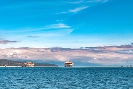 Tour riêng ngắm cá heo và bãi cát Manjuyod | Dumaguete, Phi-líp-pin 4