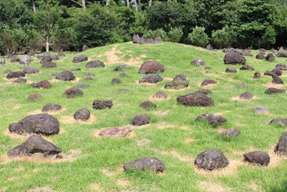 Jeju Stone Village Park