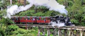 Tour Xe Buýt Ngắm Cảnh Puffing Billy & Khu Bảo Tồn Healesville Sanctuary | Victoria