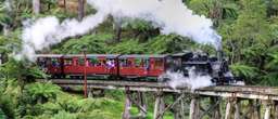 Puffing Billy & Healesville Sanctuary Scenic Bus Tour | Victoria, USD 130.05