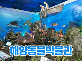 Jeju Marine Animal Museum: Admission Ticket | South Korea