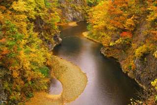 [Group Tour for 1] Hokkaido Fall Foliage Viewing | Jozankei Fall Foliage & Hoheikyo Electric Bus Tour & Yoichi NITORI Orchard Fruit Picking & Tanaka Sake Brewery Kamekozura Sake Tasting & Otaru Canal Tour | Depart from Sapporo