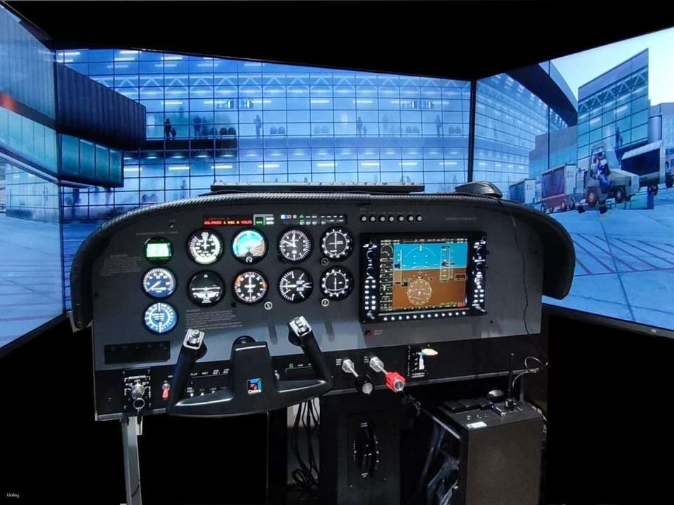 30 Minute Flight Simulator Experience