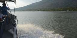 Mangrove & Irrawaddy Dolphin Watching Cruise, SGD 48