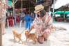 Depart to Khai Nai Island. Take the chance to meet the locals, including adorable cats