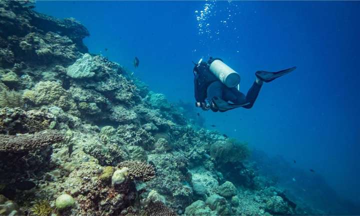 Puerto Princesa Open Water Diving Courses By Let S Dive Palawan