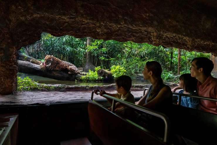 river safari tickets 1 for 1 singapore zoo