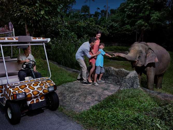 singapore night safari charges