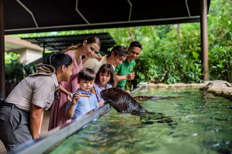 river safari tickets 1 for 1 singapore zoo