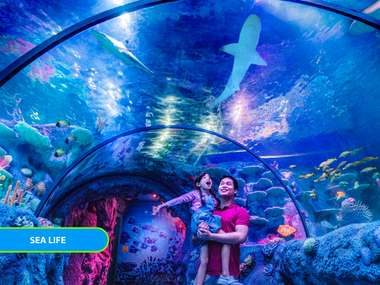 Beli tiket LEGOLAND Malaysia Gratis LEGO Merchandise Harga Promo 2024 di Traveloka