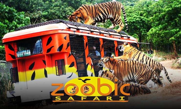 zoobic safari logo