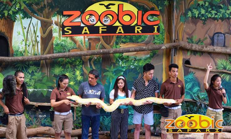 zoobic safari birthday promo