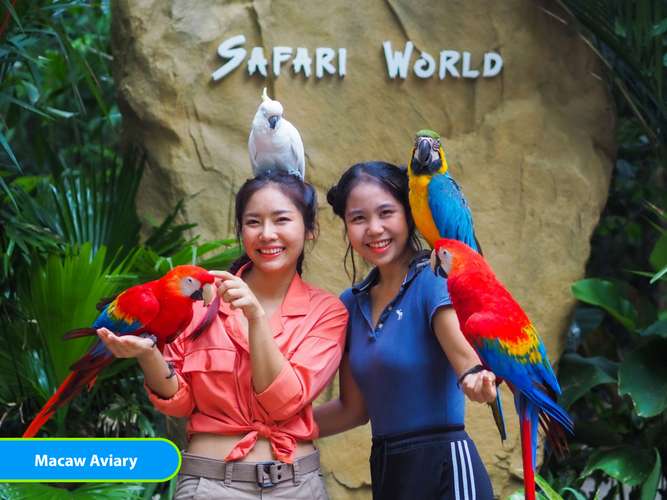 safari world bangkok activities