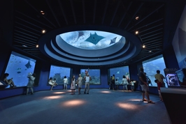 COMBO: 5-in-1 Experiences at Madame Tussauds™ Singapore + DigiPass + S.E.A. Aquarium™ 2