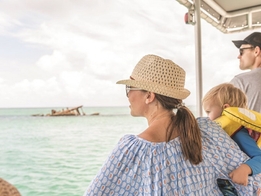 Tangalooma Island Tour with Dolphin Feeding 2