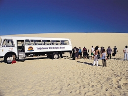 Tangalooma Island Tour with Dolphin Feeding 3