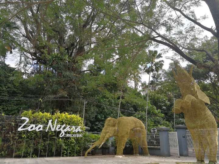 Zoo Negara Malaysia Tickets Price Promotion 2020 Traveloka