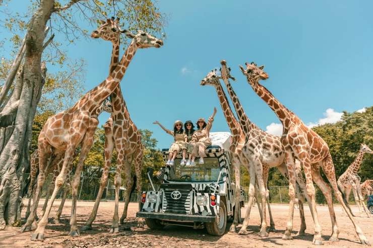 kanchanaburi safari park day tour