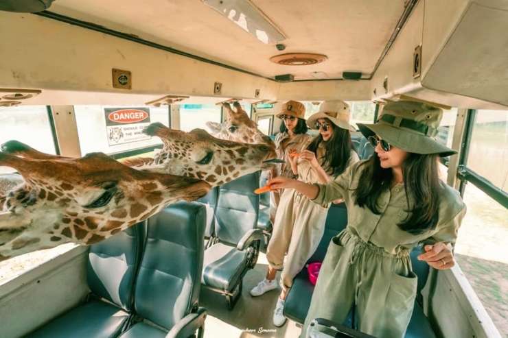 kanchanaburi safari park day tour