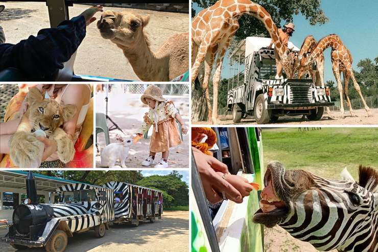 kanchanaburi safari park day tour