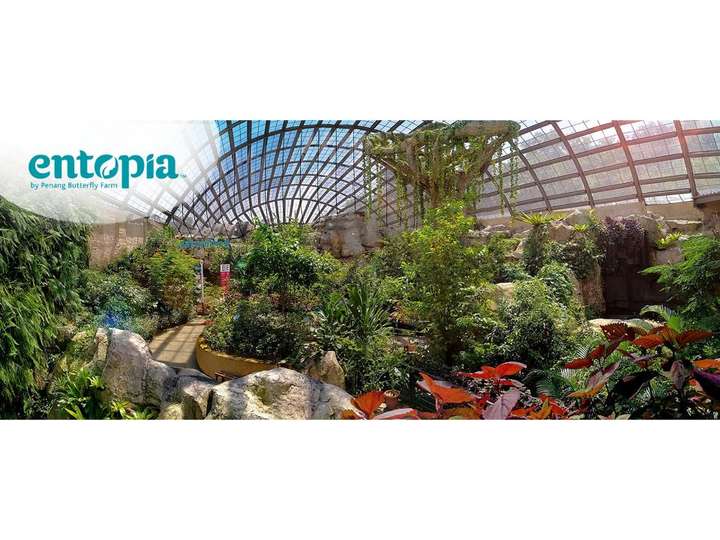 Entopia By Penang Butterfly Farm Tickets Price Promotion 2020
