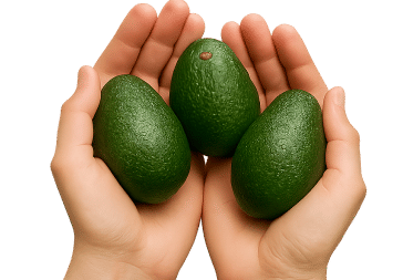 Certificación internacional