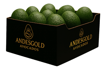 Protección y conservación