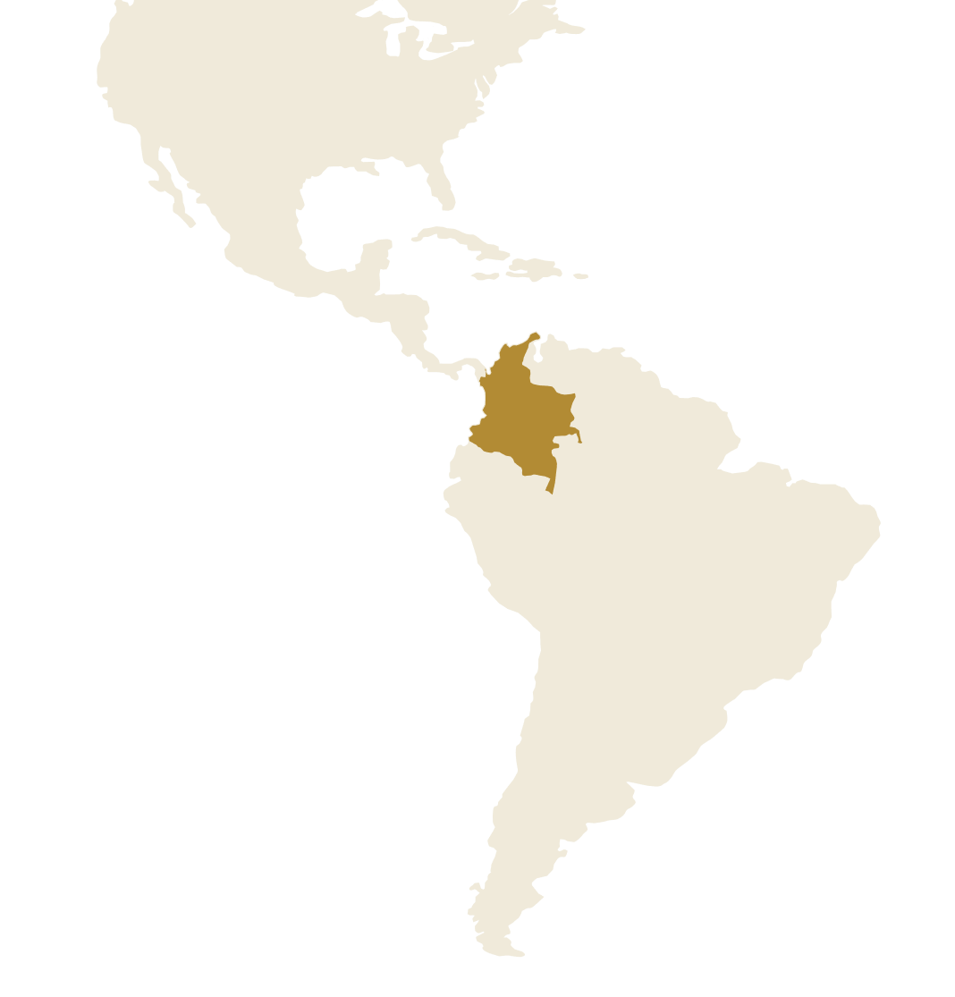 Rutas de envío internacionales de AndesGold