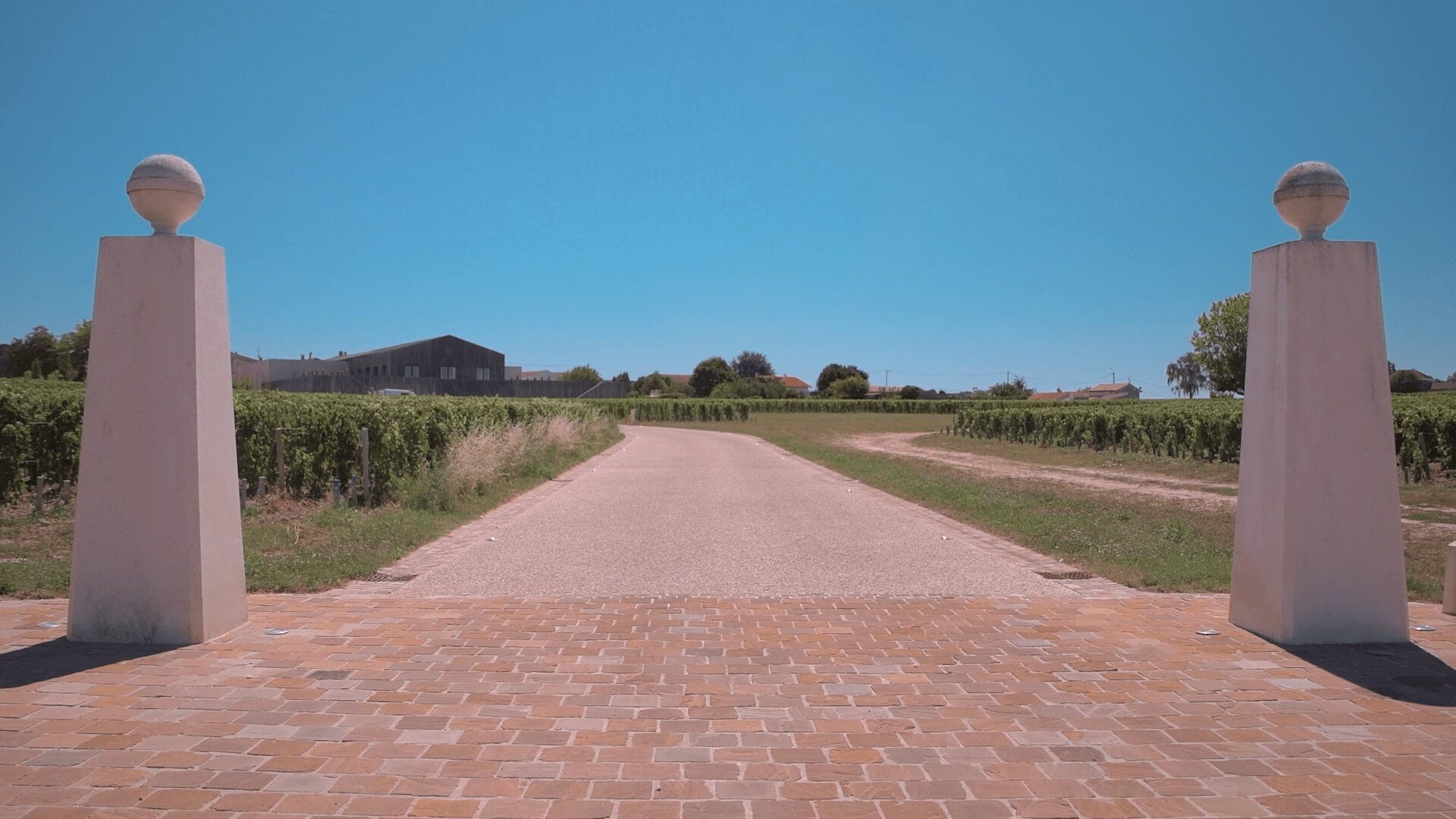 Pauillac terroir facing Château Clerc Milon