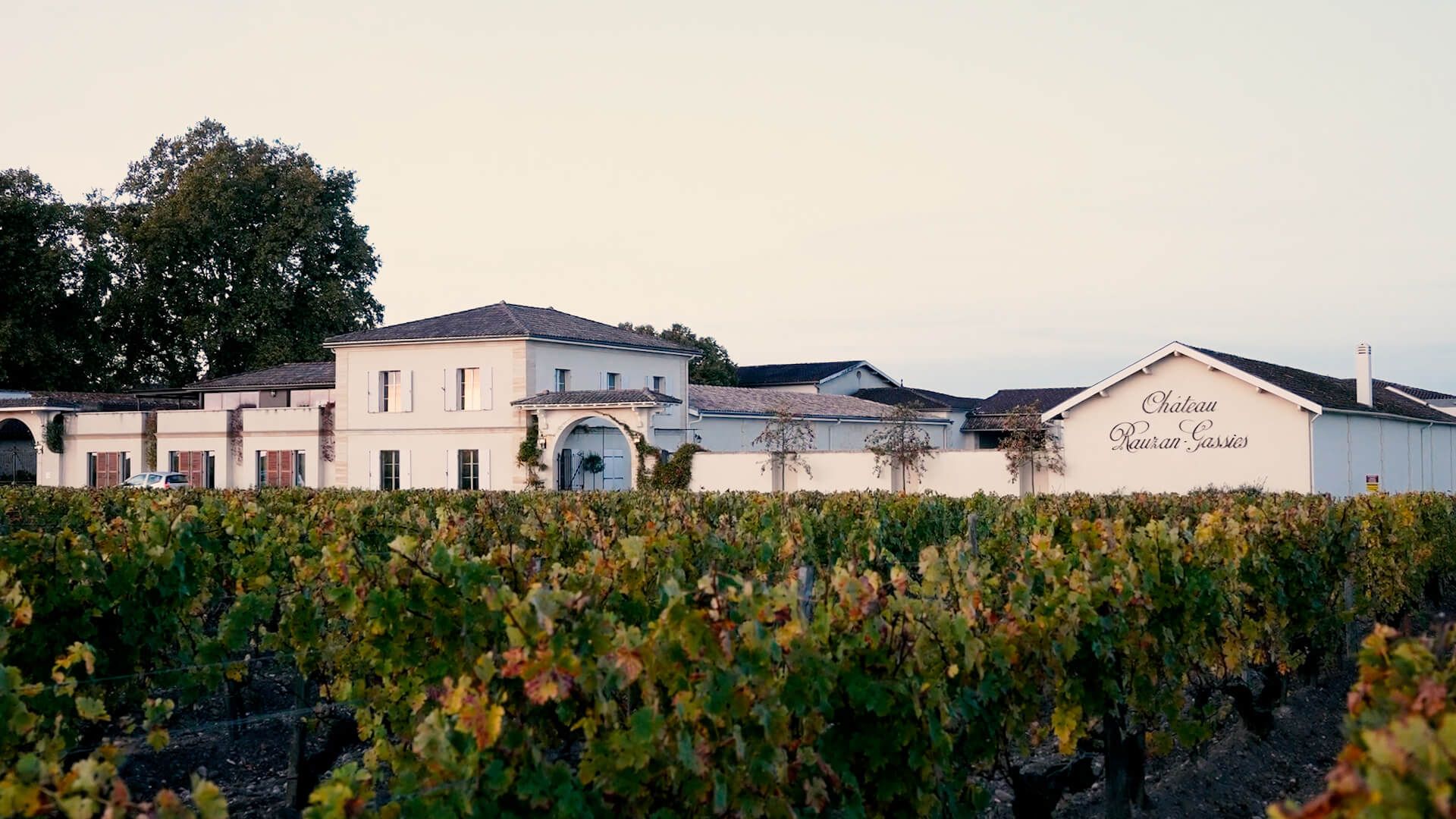 Château surrounded by vineyards