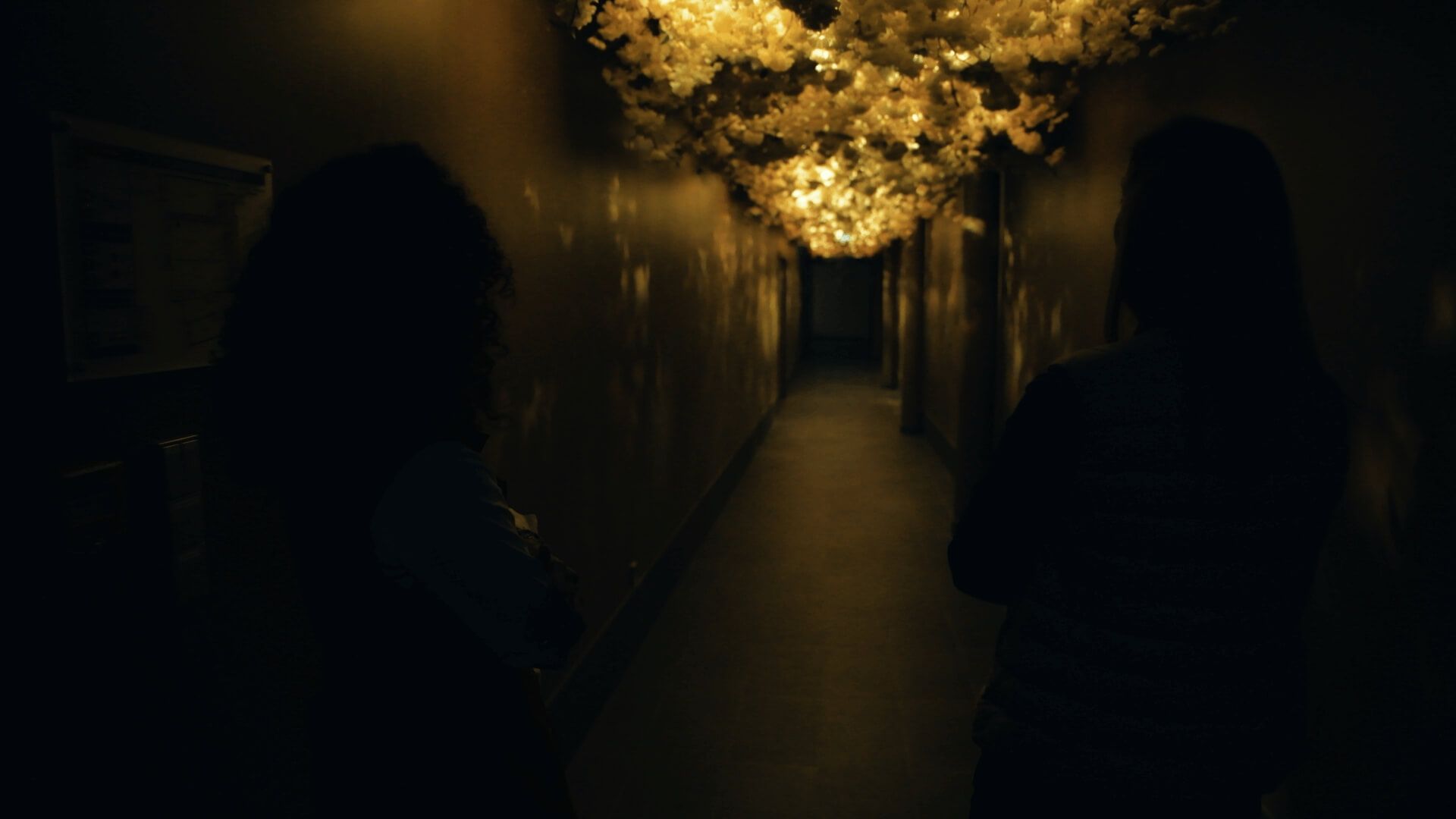  immersive wine tourism route of Maison Cardinale