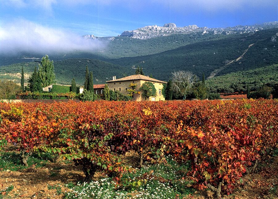 Yjar Rioja vignoble Telmo Rodriguez