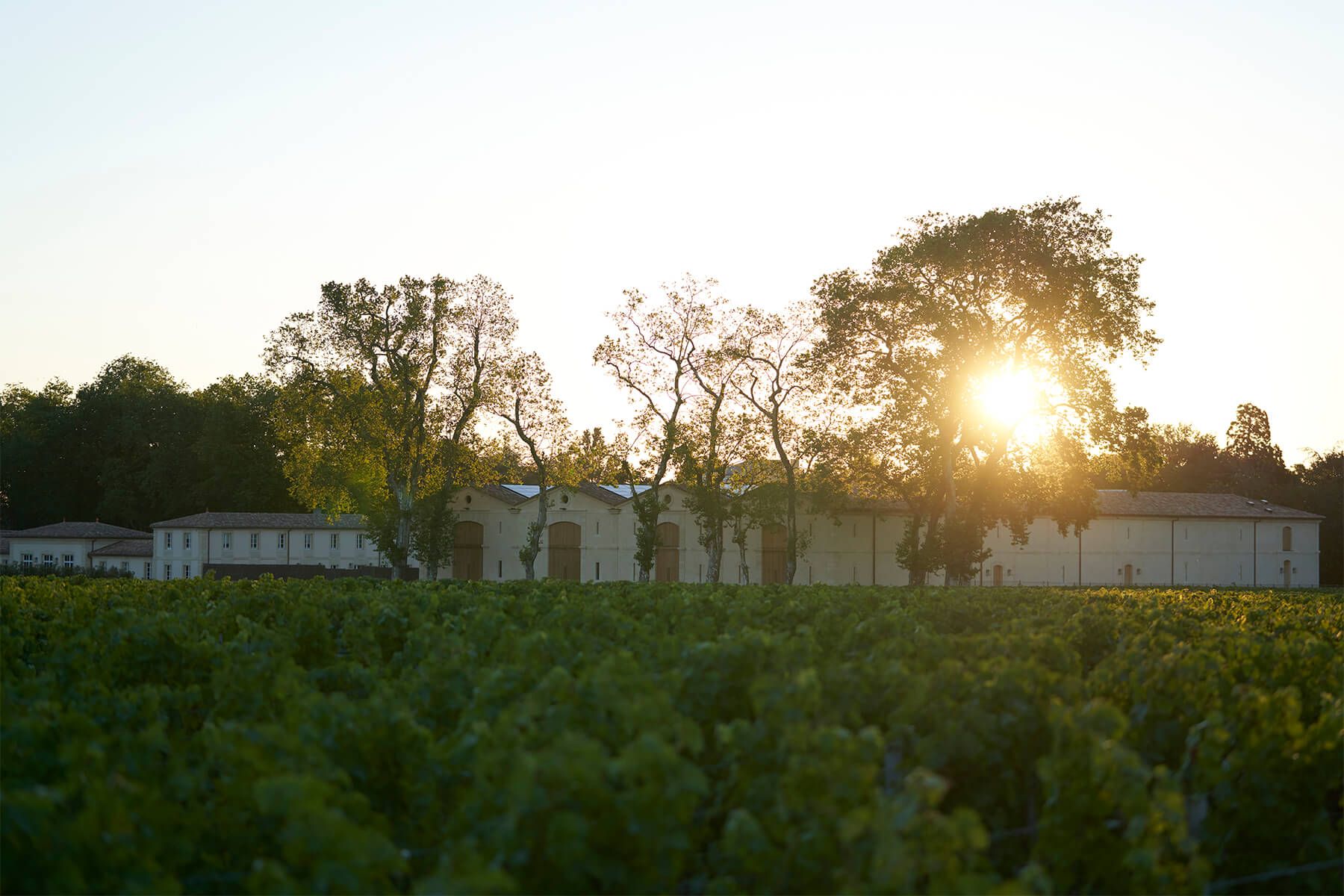 Let’s Talk – Château d’Armailhac : tradition et élégance au cœur de Pauillac - TWINS Bordeaux