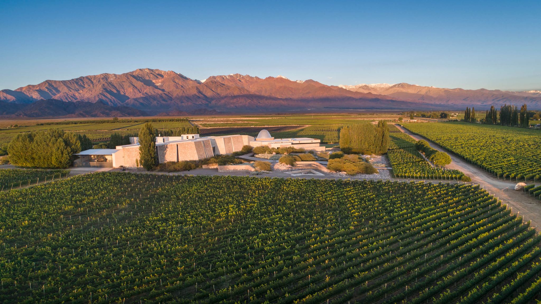 Zuccardi Uco Valley vineyards in Argentina