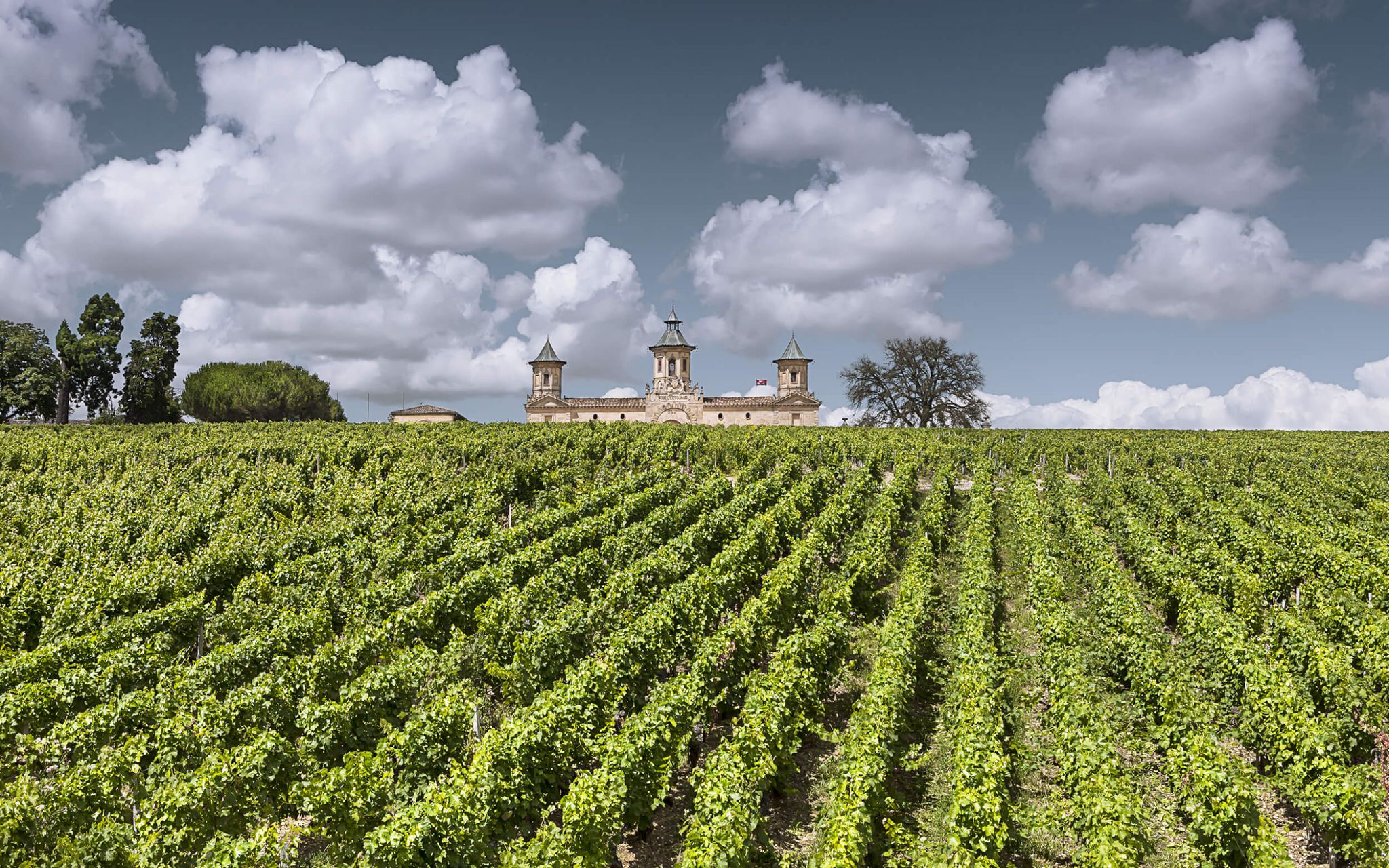 Vignoble du château Cos d’Estournel à Saint-Estèphe