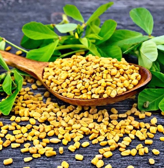 Methi seeds water