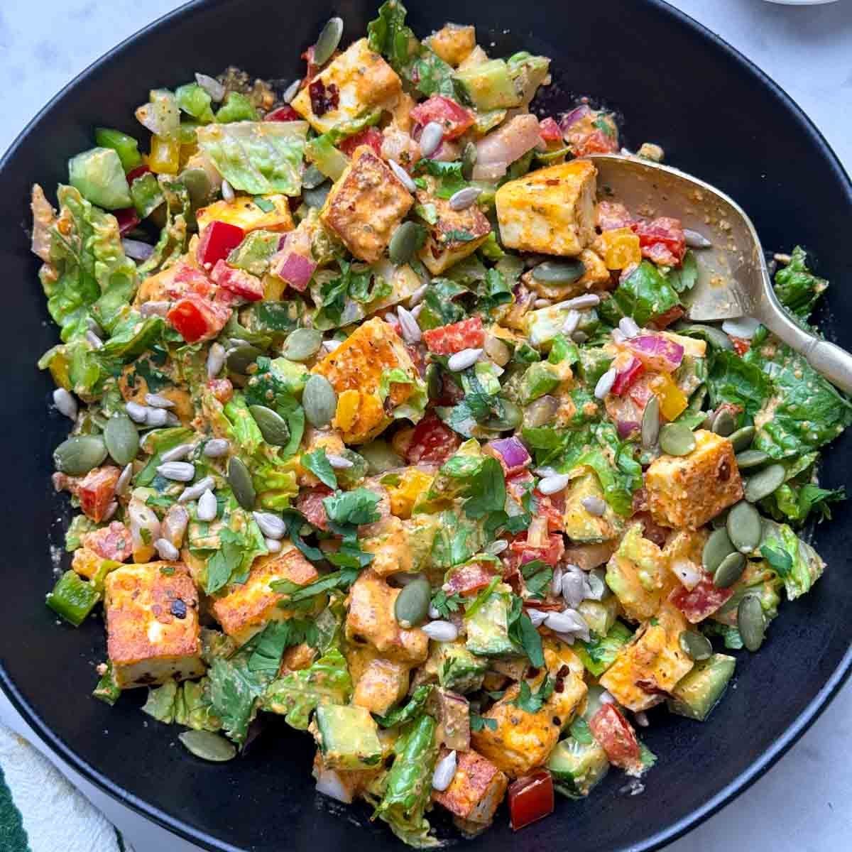 Paneer Salad