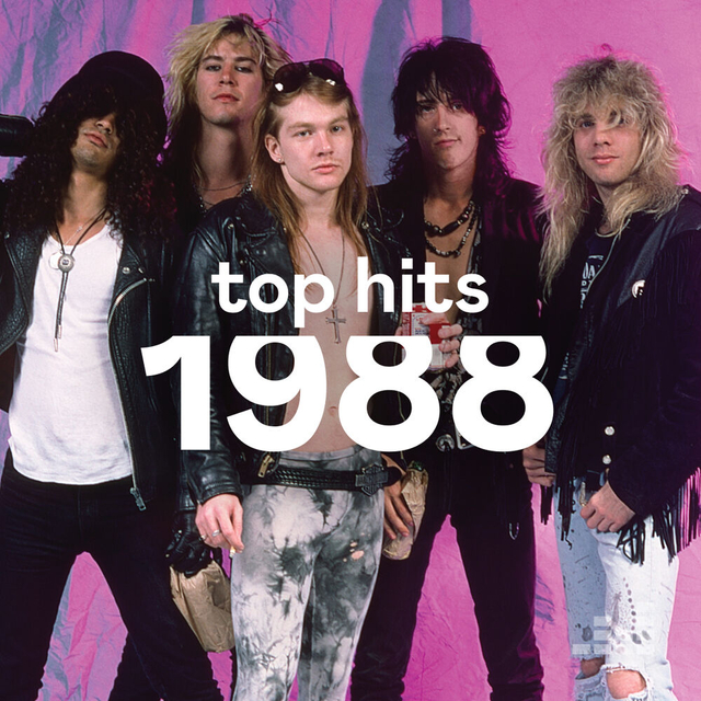 Top Hits 1988. Яка знайома мелодія… Хто ж виконавець?