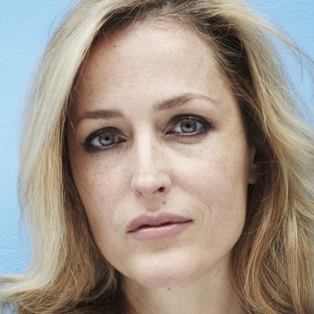 Do you remember all the Gillian Anderson's movies?