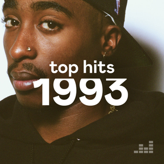 Top Hits 1993